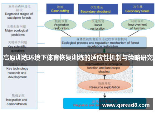 高原训练环境下体育恢复训练的适应性机制与策略研究